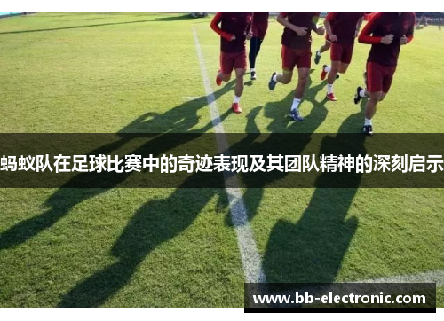 蚂蚁队在足球比赛中的奇迹表现及其团队精神的深刻启示