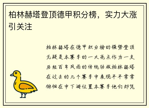 柏林赫塔登顶德甲积分榜，实力大涨引关注